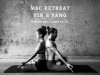 MSC-Retreat: Yin & Yang